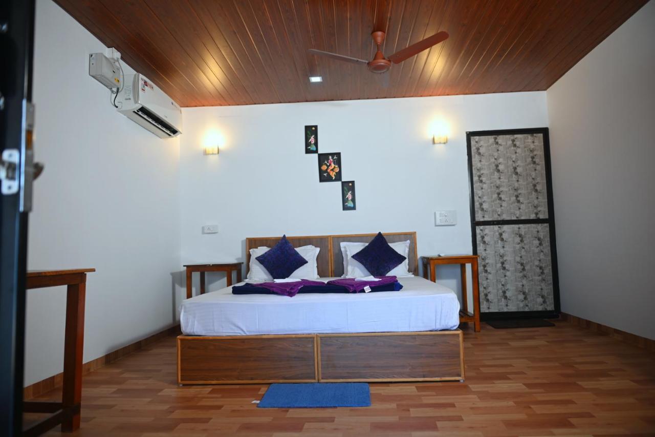 MADHU BEACH HUTS ::: AGONDA, INDIA ::: COMPARE RATES